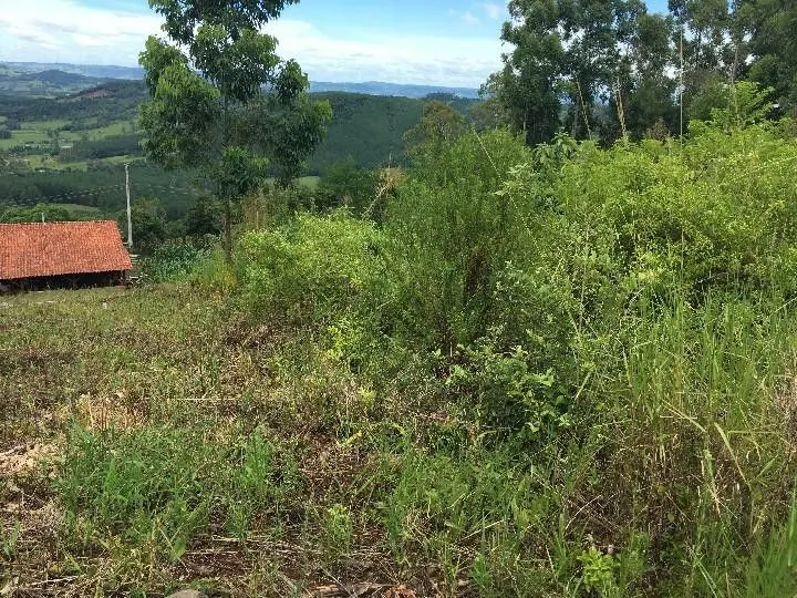 Chácara à venda de 5.300 m² em Rolante, RS, Brasil