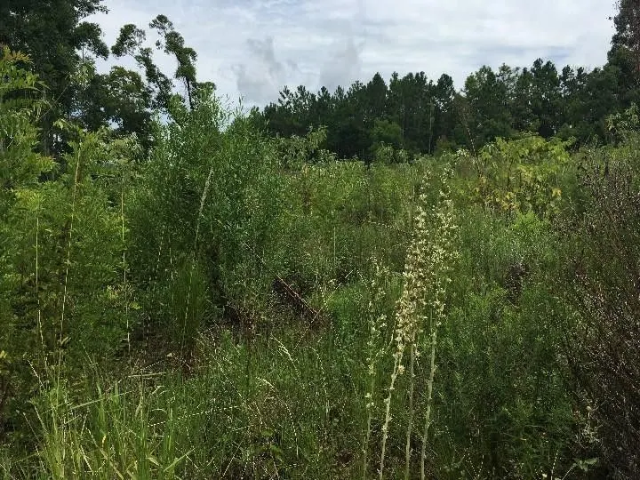 Chácara à venda de 5.300 m² em Rolante, RS, Brasil