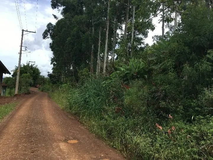 Chácara à venda de 5.300 m² em Rolante, RS, Brasil