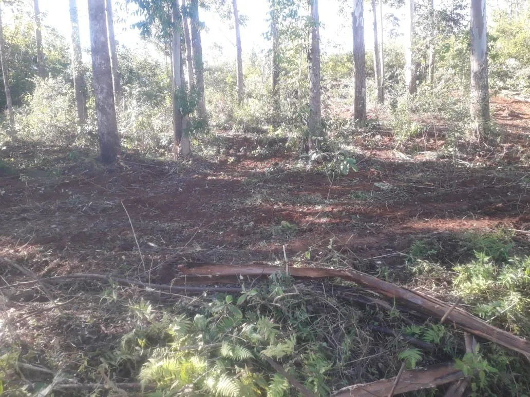 Chácara à venda de 5.300 m² em Rolante, RS, Brasil