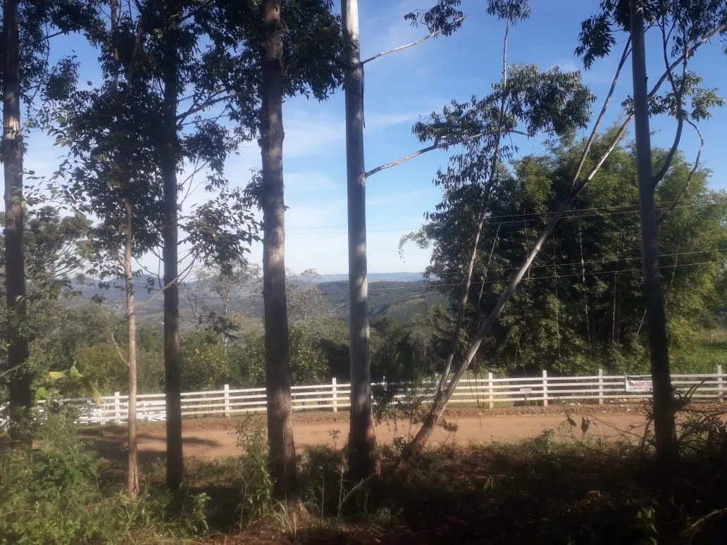 Chácara à venda de 5.300 m² em Rolante, RS, Brasil