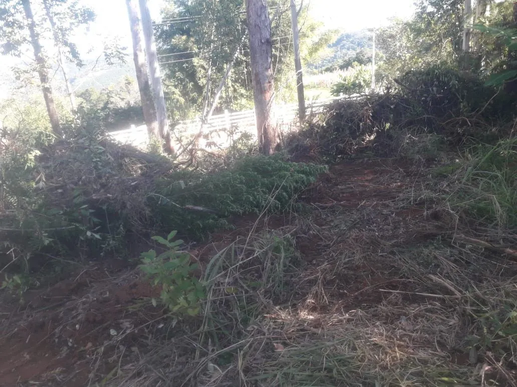 Chácara à venda de 5.300 m² em Rolante, RS, Brasil