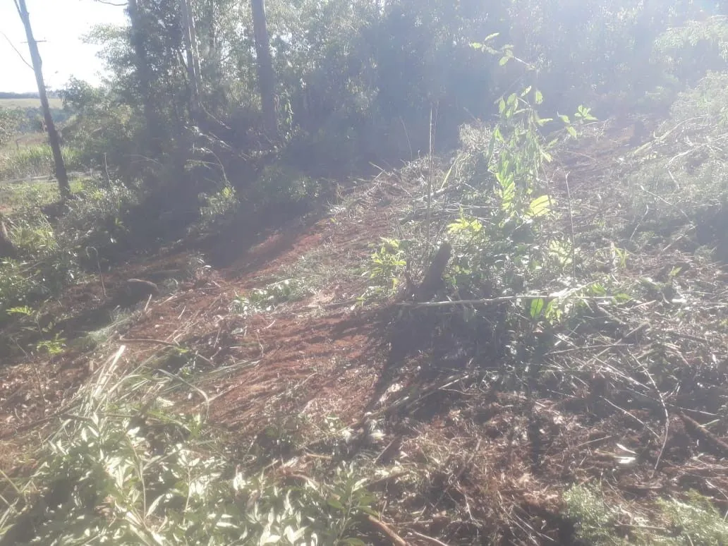 Chácara à venda de 5.300 m² em Rolante, RS, Brasil