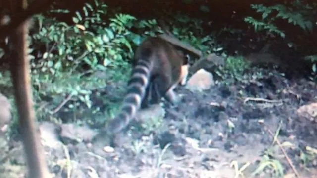 Chácara à venda de 1 ha em Salto de Pirapora, SP, Brasil
