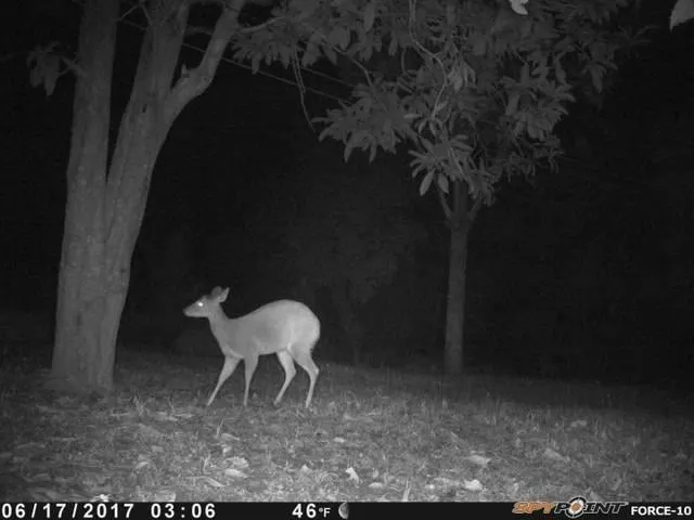 Chácara à venda de 1 ha em Salto de Pirapora, SP, Brasil