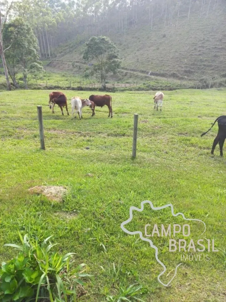 Sítio à venda de 4 ha em Natividade da Serra, SP, Brasil