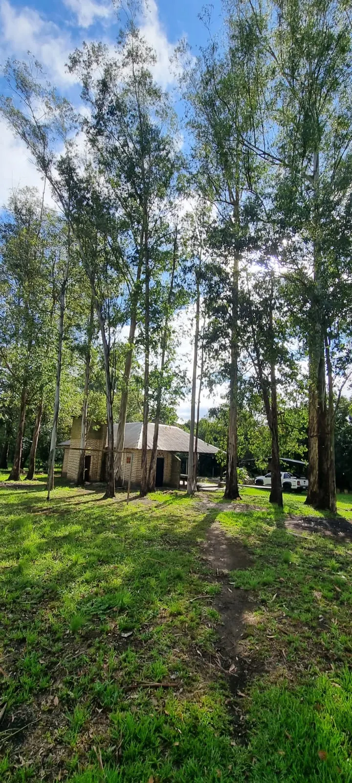Fazenda à venda de 9 ha em Hernandarias, Paraguai