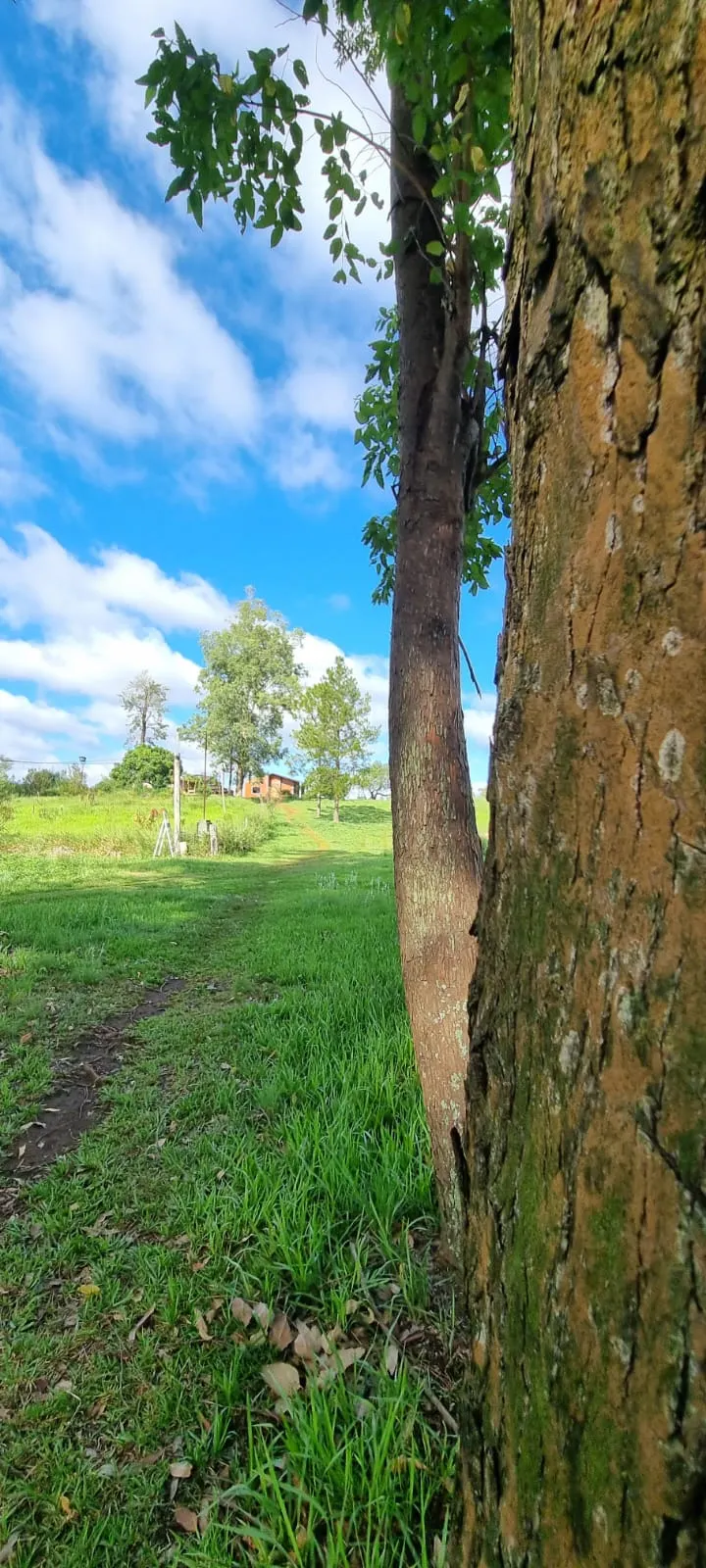 Fazenda à venda de 9 ha em Hernandarias, Paraguai