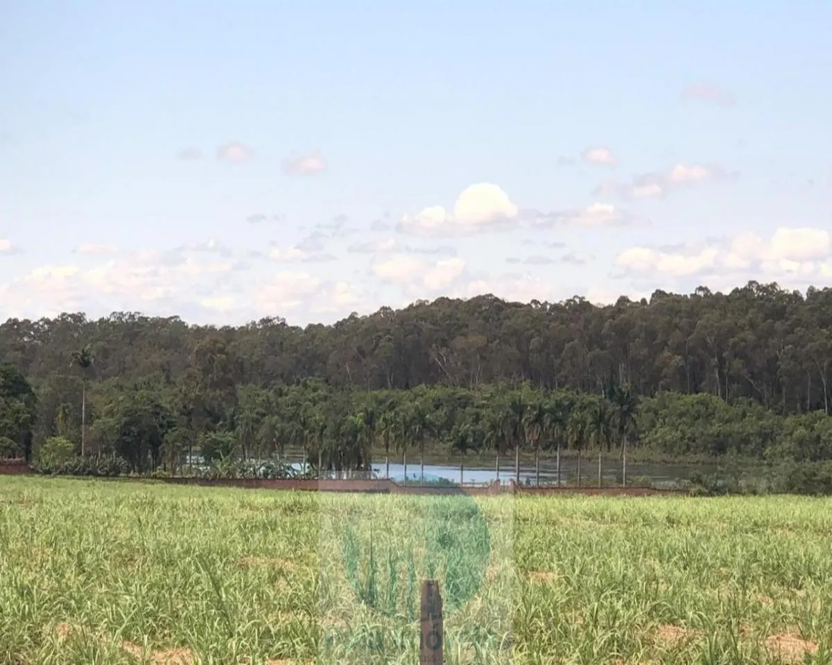 Fazenda à venda de 773 ha em Serra Azul, SP, Brasil