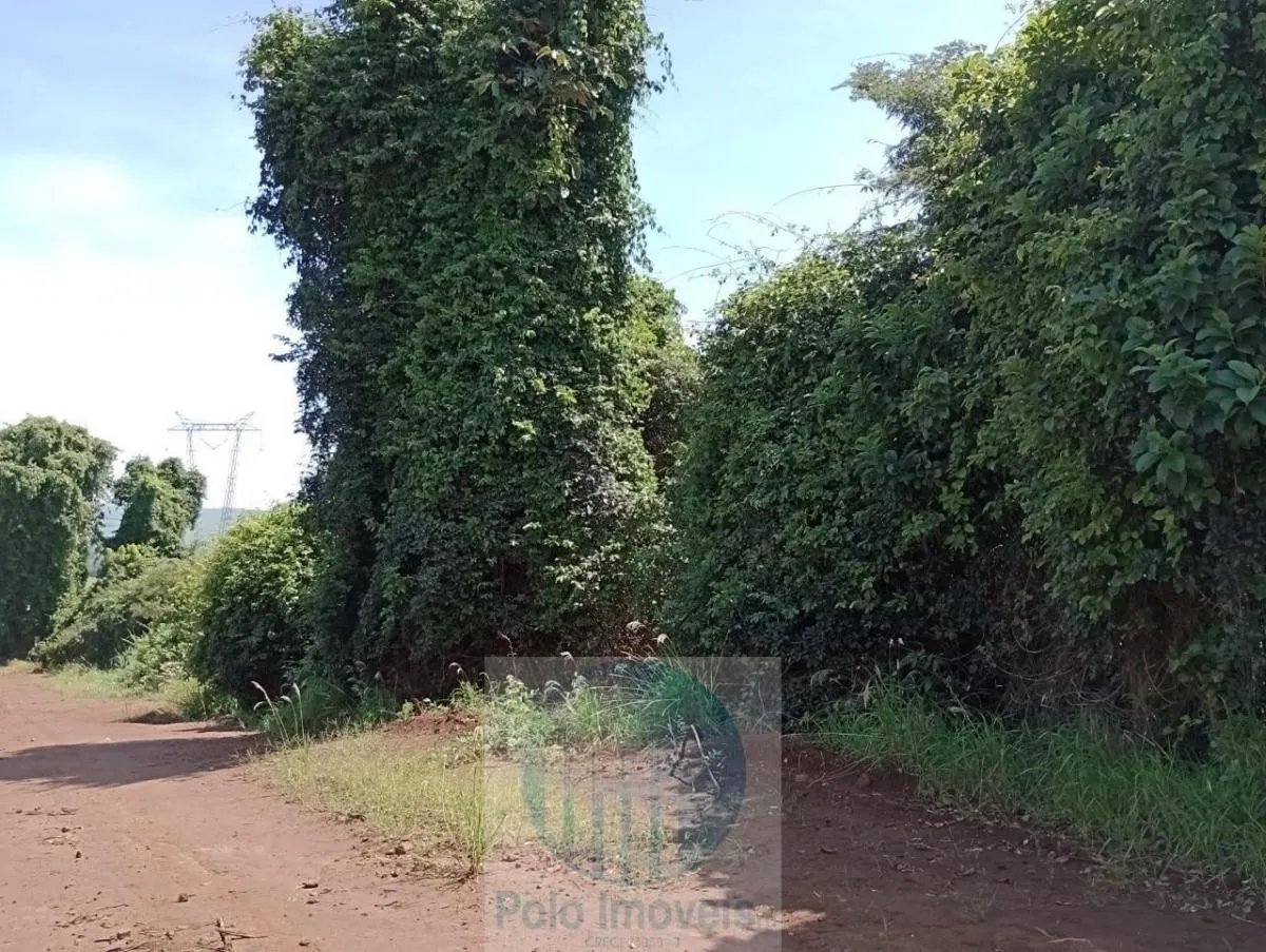 Fazenda à venda de 773 ha em Serra Azul, SP, Brasil