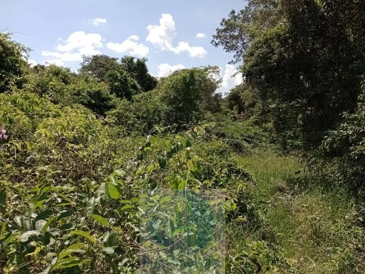 Fazenda à venda de 773 ha em Serra Azul, SP, Brasil