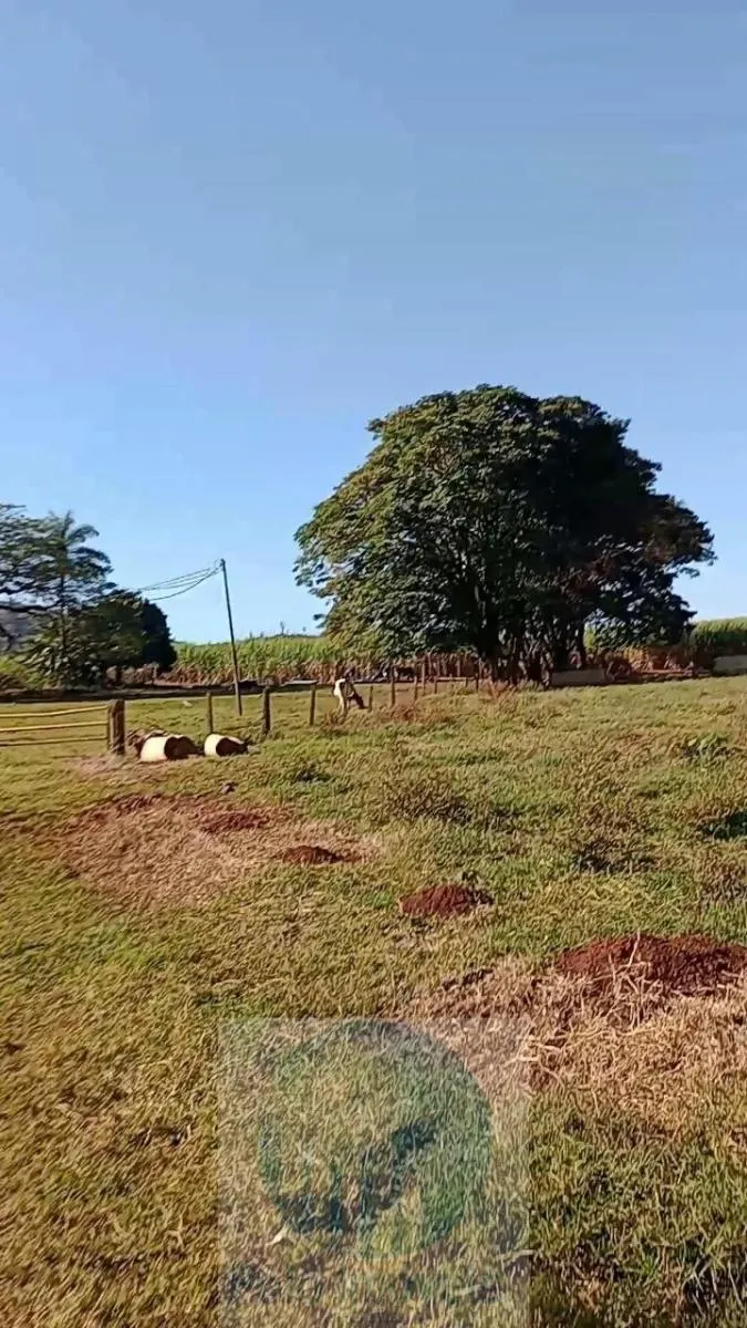 Fazenda à venda de 773 ha em Serra Azul, SP, Brasil