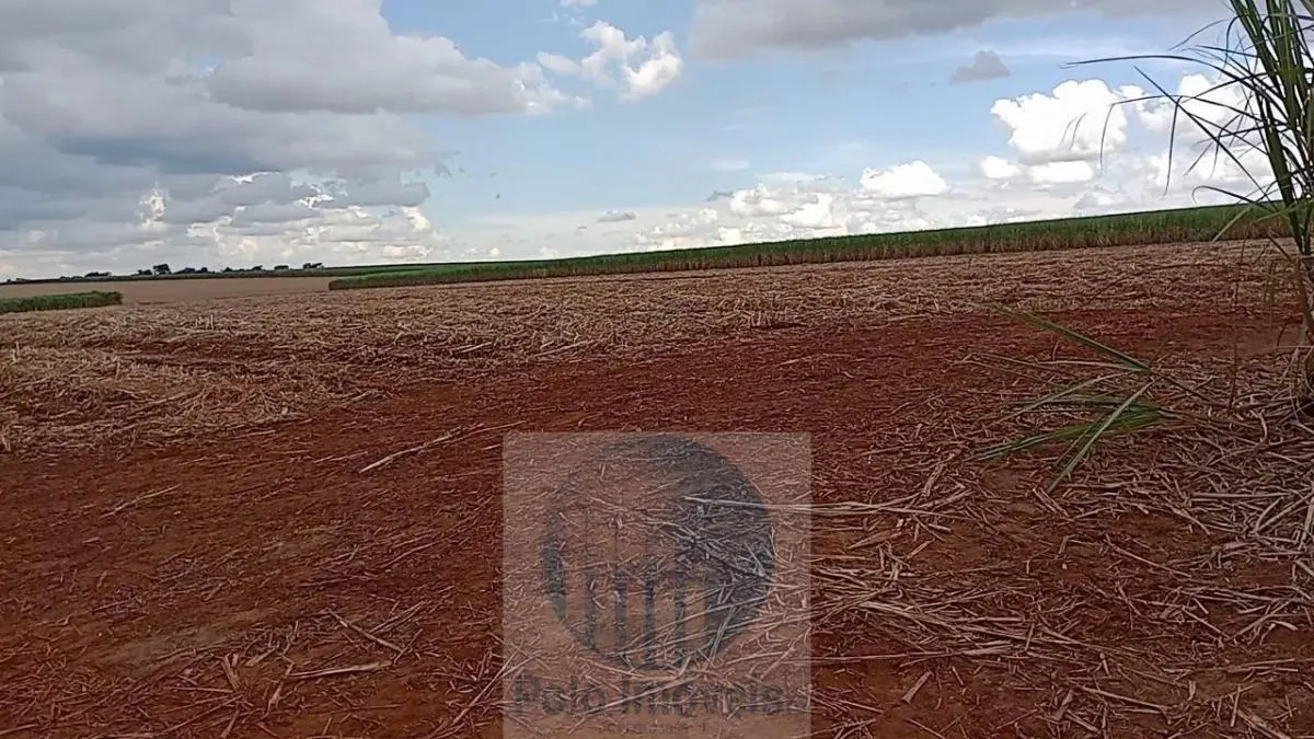 Fazenda à venda de 773 ha em Serra Azul, SP, Brasil