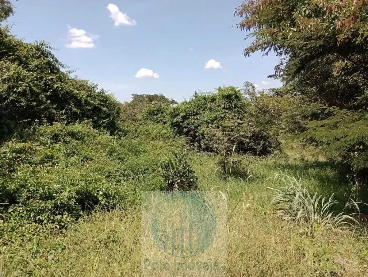 Fazenda à venda de 773 ha em Serra Azul, SP, Brasil