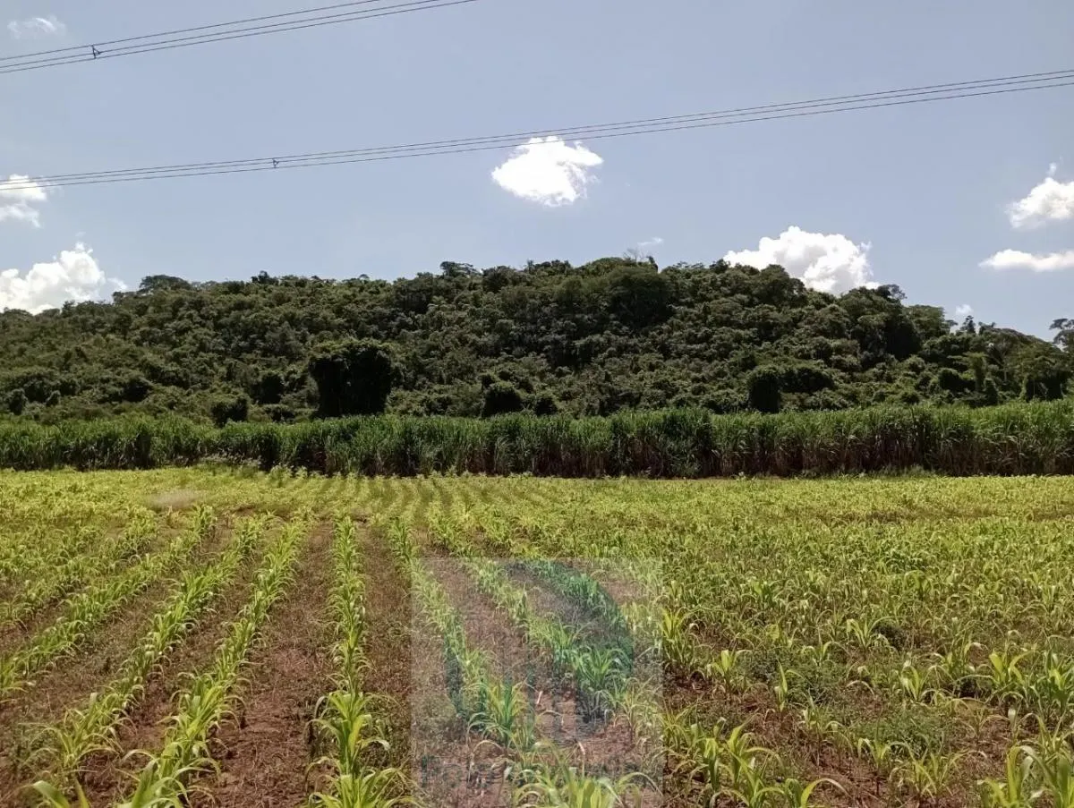 Fazenda à venda de 773 ha em Serra Azul, SP, Brasil