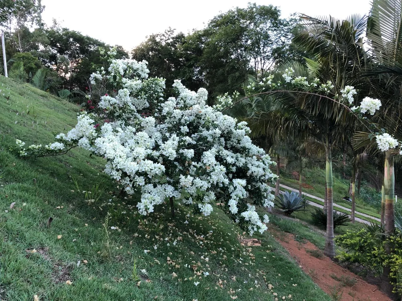 Chácara à venda de 6.600 m² em São José dos Campos, SP, Brasil