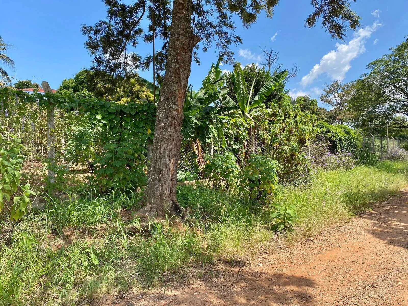Chácara à venda de 2.000 m² em Piraju, SP, Brasil