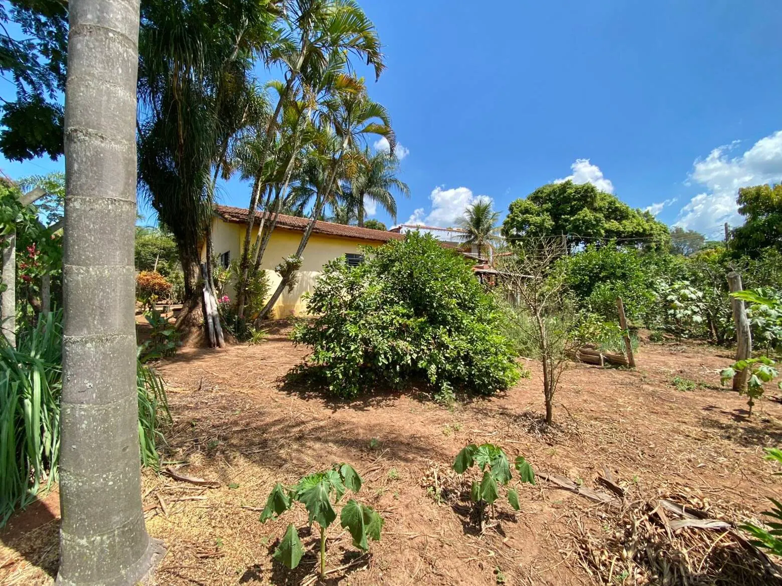 Chácara à venda de 2.000 m² em Piraju, SP, Brasil