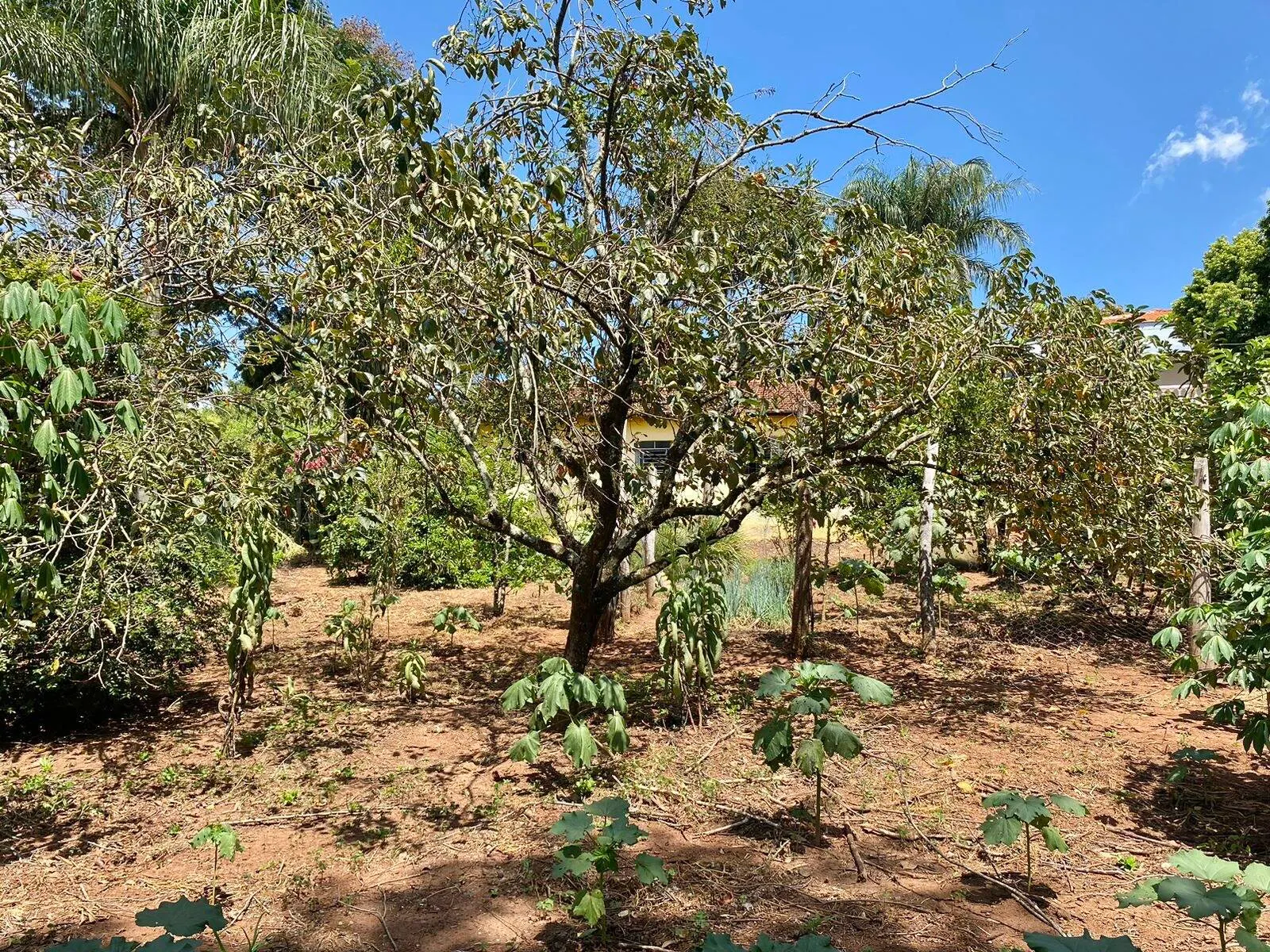 Chácara à venda de 2.000 m² em Piraju, SP, Brasil