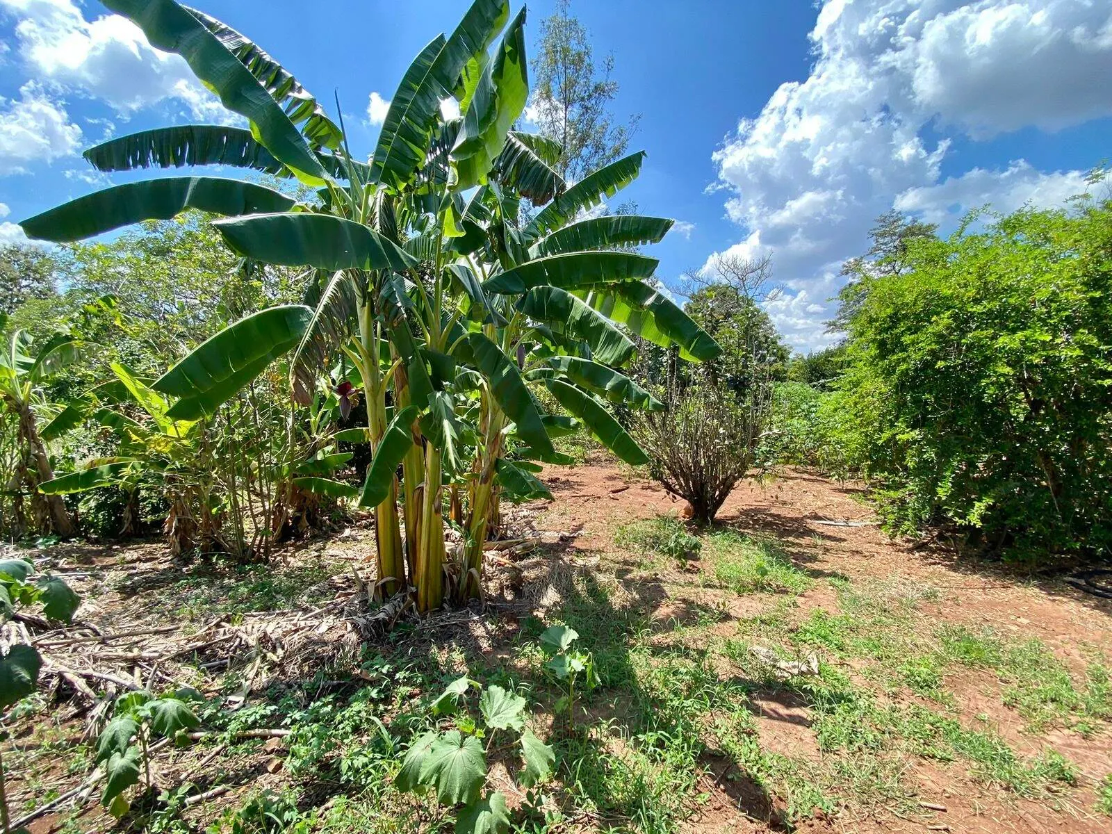 Chácara à venda de 2.000 m² em Piraju, SP, Brasil