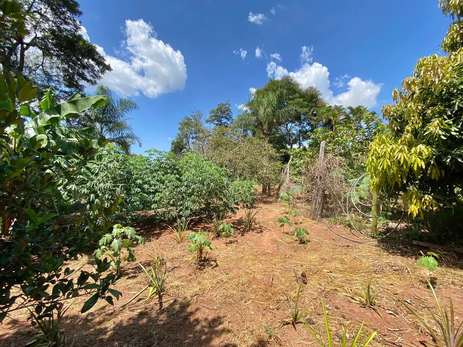 Chácara à venda de 2.000 m² em Piraju, SP, Brasil