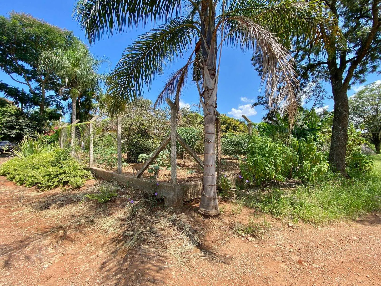 Chácara à venda de 2.000 m² em Piraju, SP, Brasil