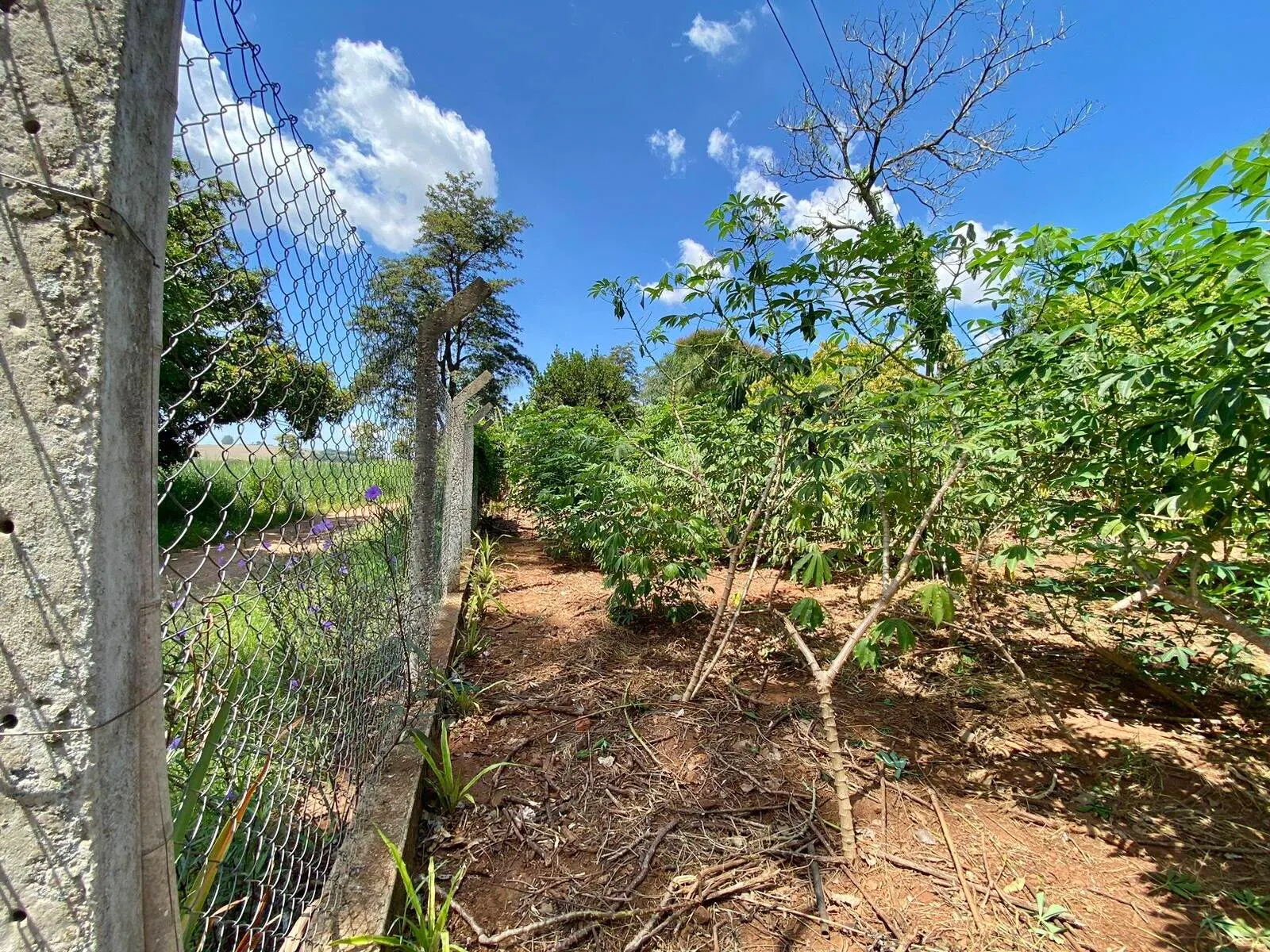Chácara à venda de 2.000 m² em Piraju, SP, Brasil