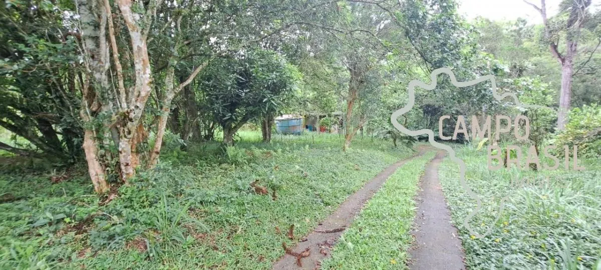 Sítio à venda de 16 ha em Paraibuna, SP, Brasil
