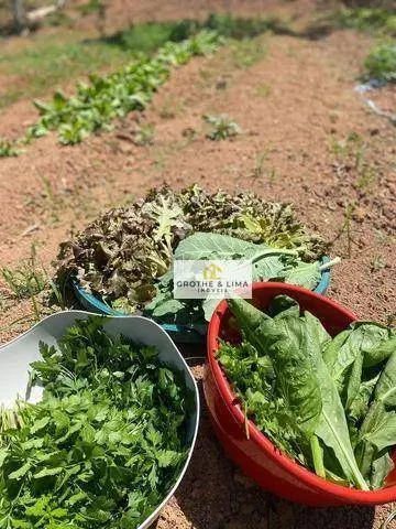 Small farm for sale of 5 acres in São José dos Campos, SP, Brazil