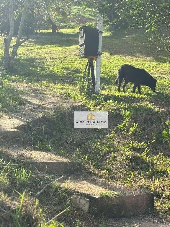 Small farm for sale of 5 acres in São José dos Campos, SP, Brazil