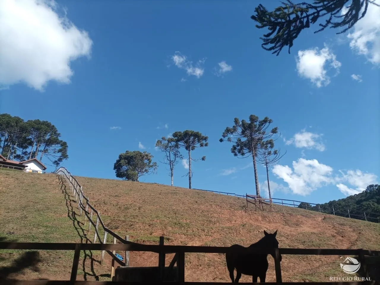 Sítio à venda de 5 ha em Sapucaí-Mirim, MG, Brasil