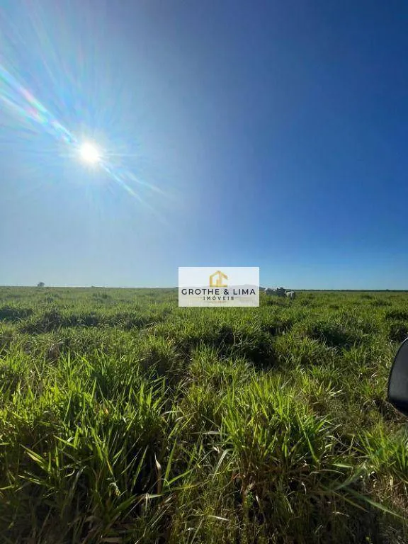 Fazenda à venda de 2.420 ha em Peixe, TO, Brasil