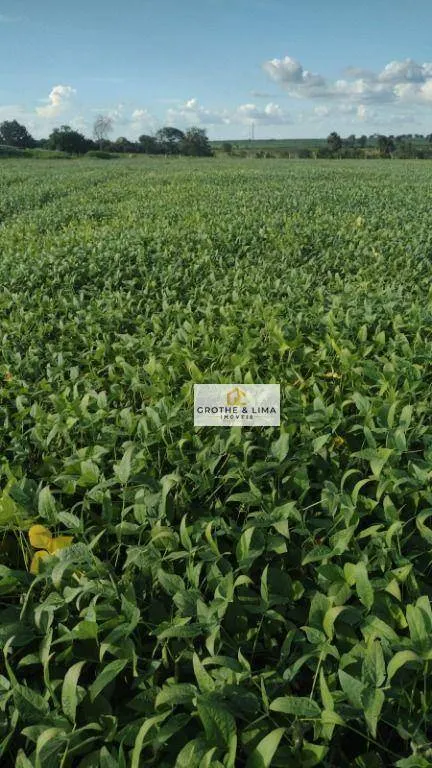 Fazenda à venda de 2.420 ha em Peixe, TO, Brasil