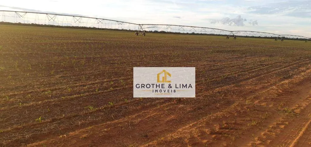 Fazenda à venda de 2.420 ha em Peixe, TO, Brasil