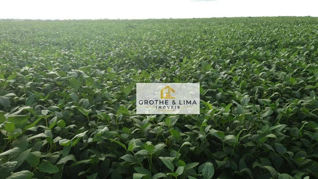 Fazenda à venda de 2.420 ha em Peixe, TO, Brasil