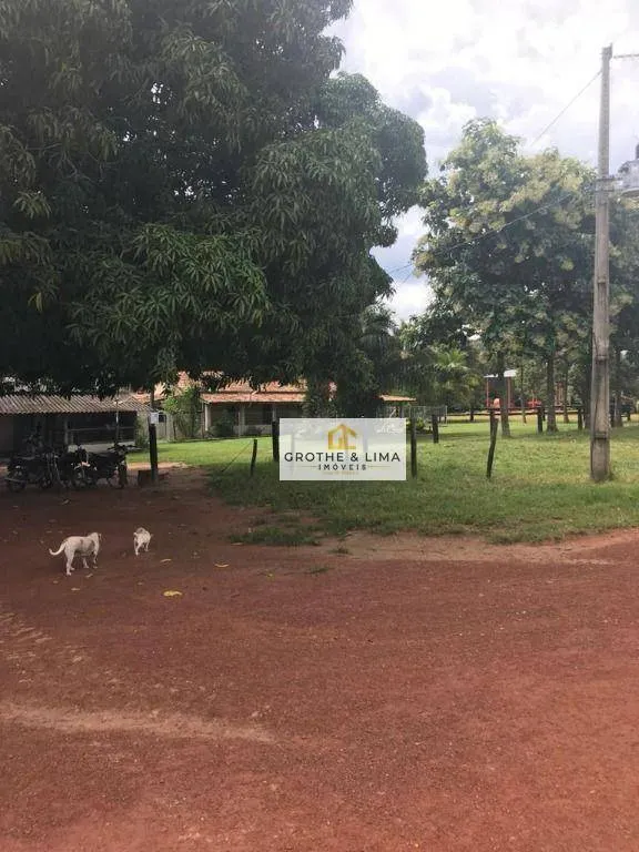 Fazenda à venda de 2.420 ha em Peixe, TO, Brasil