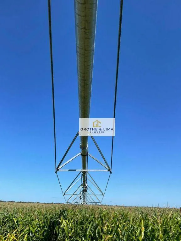 Fazenda à venda de 2.420 ha em Peixe, TO, Brasil
