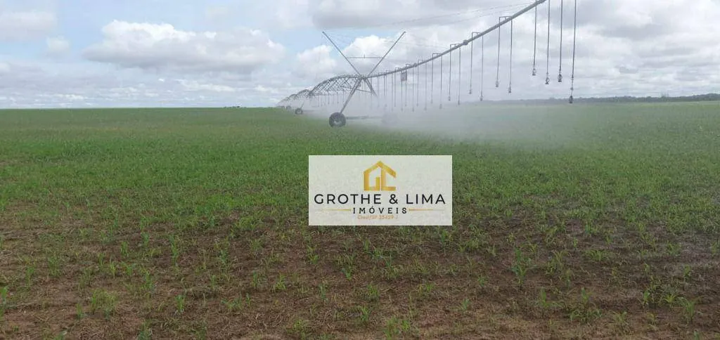 Fazenda à venda de 2.420 ha em Peixe, TO, Brasil