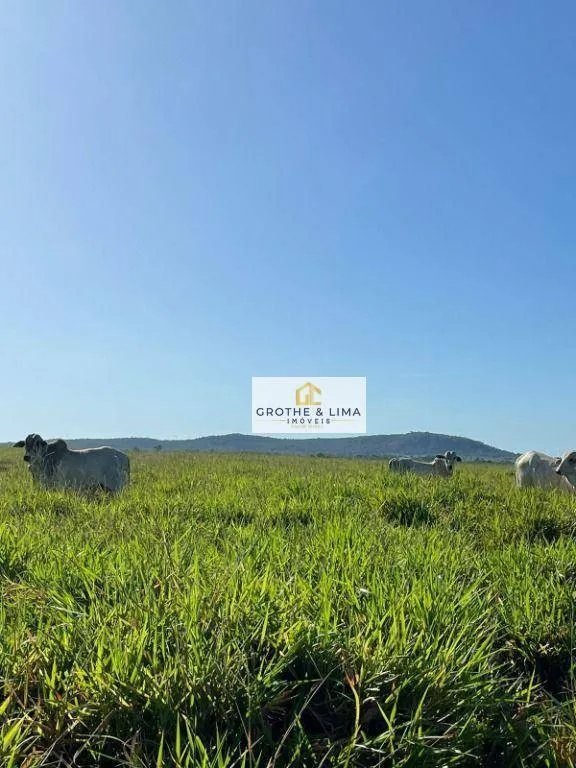 Fazenda à venda de 2.420 ha em Peixe, TO, Brasil