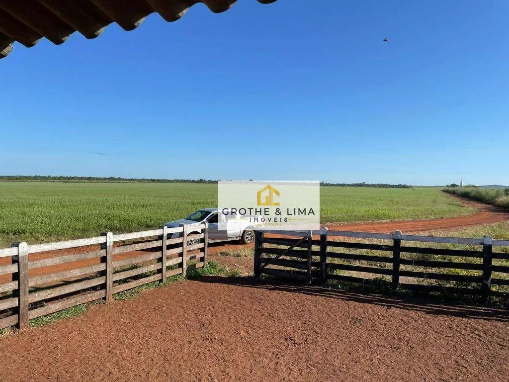 Fazenda à venda de 2.420 ha em Peixe, TO, Brasil