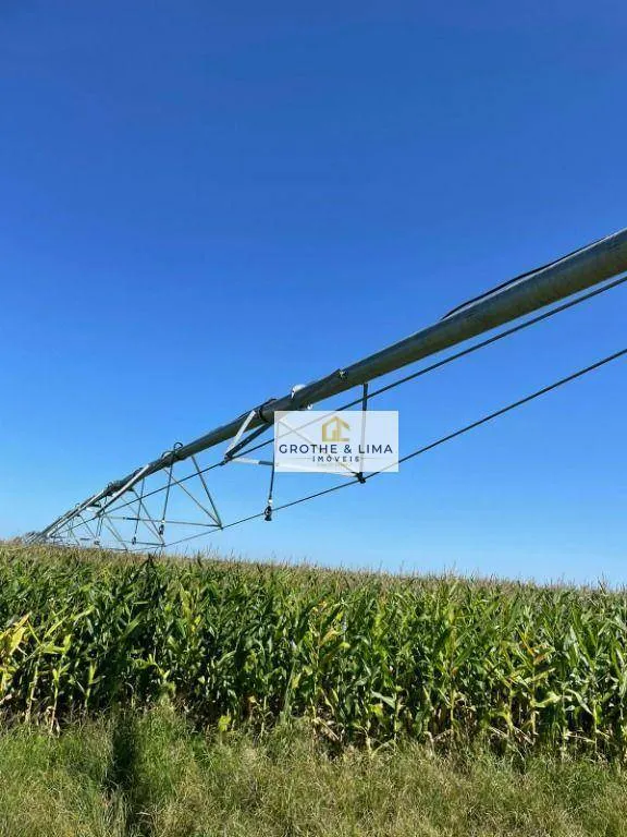 Fazenda à venda de 2.420 ha em Peixe, TO, Brasil