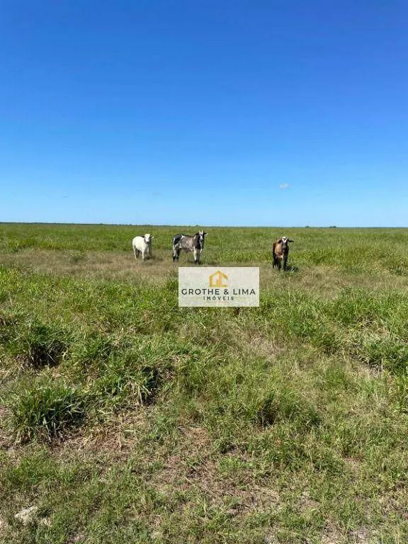 Fazenda à venda de 2.420 ha em Peixe, TO, Brasil