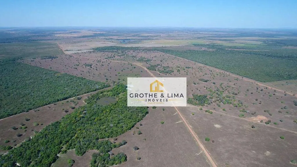 Fazenda à venda de 2.420 ha em Peixe, TO, Brasil