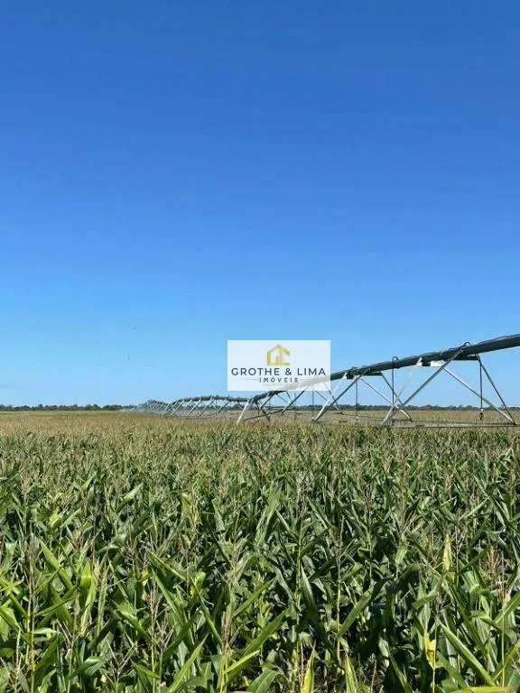 Fazenda à venda de 2.420 ha em Peixe, TO, Brasil