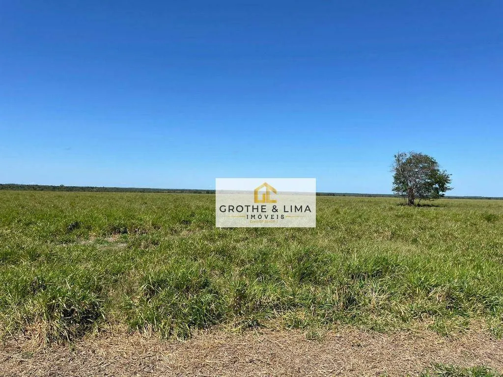 Fazenda à venda de 2.420 ha em Peixe, TO, Brasil
