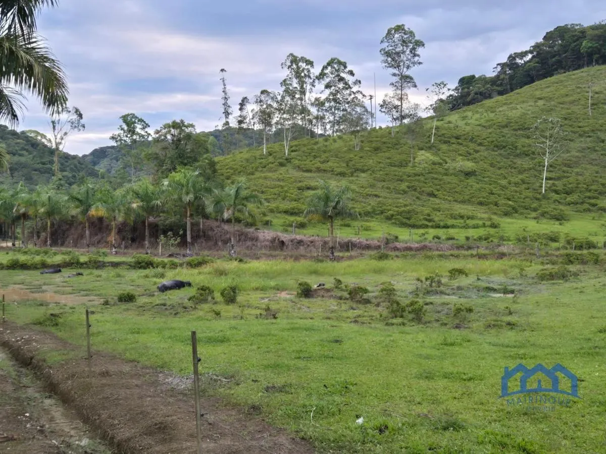 Fazenda à venda de 421 ha em Registro, SP, Brasil
