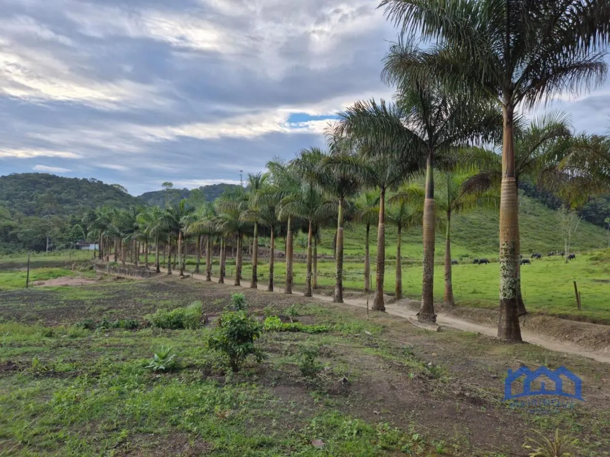 Fazenda à venda de 421 ha em Registro, SP, Brasil