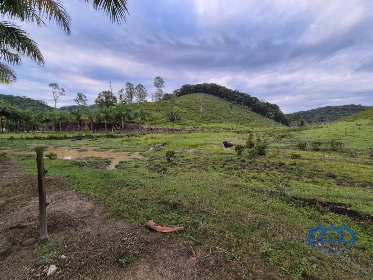 Fazenda à venda de 421 ha em Registro, SP, Brasil
