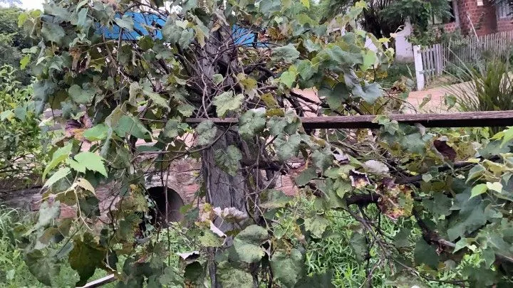 Chácara à venda de 1 ha em Rolante, RS, Brasil
