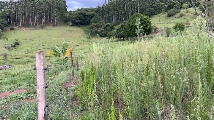 Chácara à venda de 1 ha em Rolante, RS, Brasil